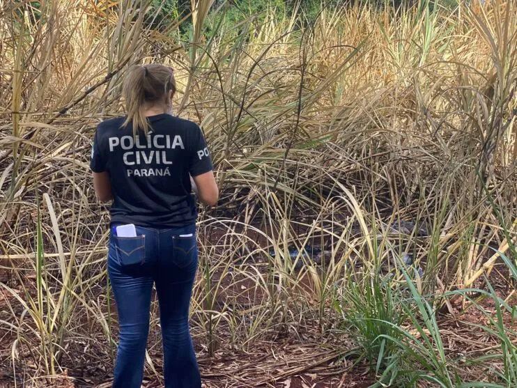 Investigadores da Polícia Civil de Apucarana foram até o local