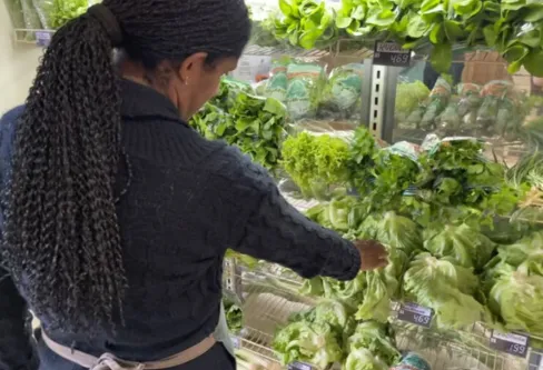 Imagem descritiva da notícia Chuvas atrapalham produção 
e afetam preços de hortaliças