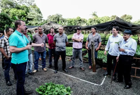 Imagem descritiva da notícia Prefeitura de Apucarana entrega mais de 300 mil mudas de café