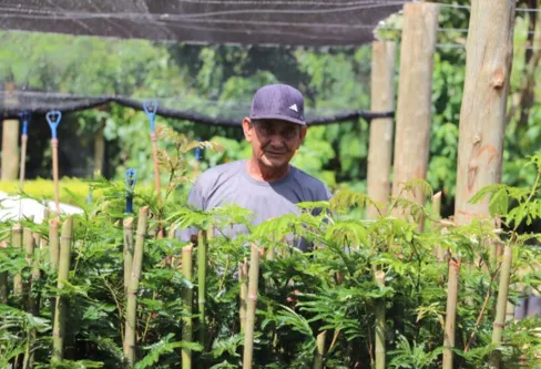 Imagem descritiva da notícia Viveiro de Ivaiporã garante ‘engenharia verde’ nas ruas