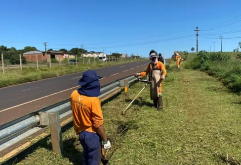 Imagem descritiva da notícia Equipes de limpeza encontram ossada no canteiro da BR-376