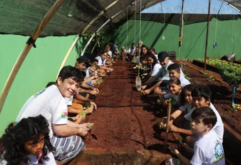 Imagem descritiva da notícia Horta Cidadã ensina segurança alimentar a jovens de Ivaiporã