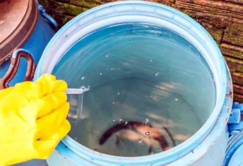 Imagem descritiva da notícia Mais um município da região entra em epidemia de dengue