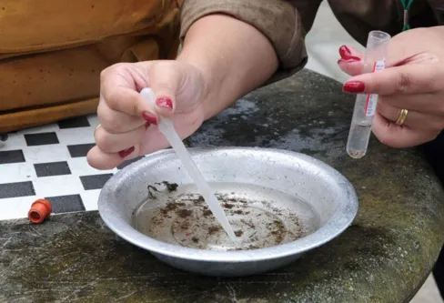 Imagem descritiva da notícia Dengue avança no Vale e mais dois municípios decretam epidemia