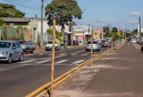Imagem descritiva da notícia Bairros de Apucarana ganham 800 mudas de árvores