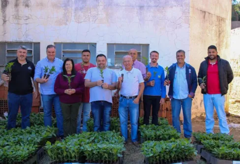 Imagem descritiva da notícia Cambira entrega 15 mil mudas de café para produtores rurais