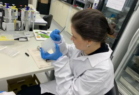 Imagem descritiva da notícia Chikungunya tem origem outras regiões do Brasil