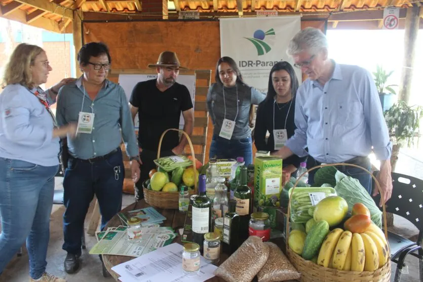 Imagem descritiva da notícia Agrotécnica discute potencial da agricultura em Rosário do Ivaí