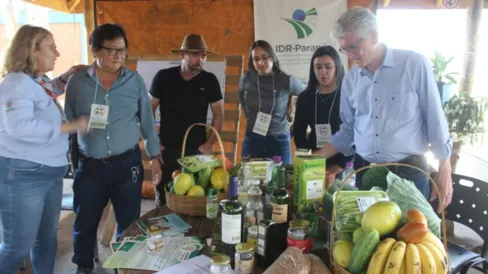 Imagem descritiva da notícia Agrotécnica discute potencial da agricultura em Rosário do Ivaí