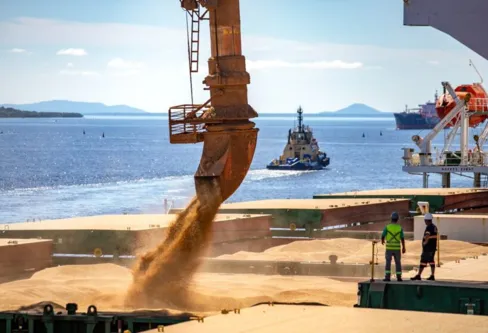 Imagem descritiva da notícia Norte do Paraná lidera em embarque de grãos no  Porto de Paranaguá