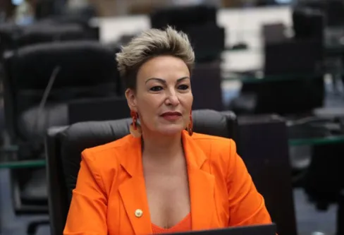 Imagem descritiva da notícia Assembleia Legislativa já tem 120 procuradorias da mulher instaladas no PR