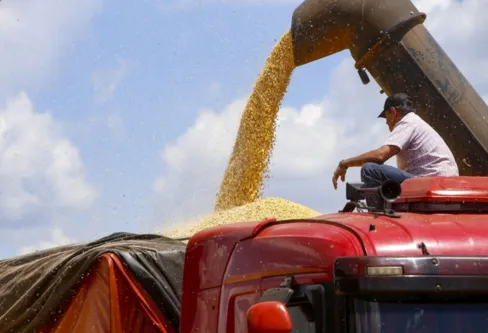 Imagem descritiva da notícia Safra de grãos deve alcançar 46,7 mi de toneladas no Paraná