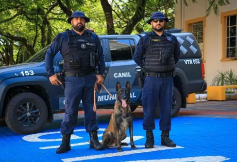 Imagem descritiva da notícia GM de Arapongas soma mais de 4 mil ocorrências