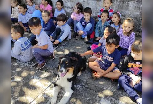 Imagem descritiva da notícia ‘Cão Amigo’ do 10º BPM é destaque em prêmio
