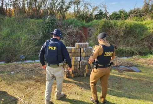 Imagem descritiva da notícia Em seis meses, região apreende 14% mais maconha que o registrado em 2022