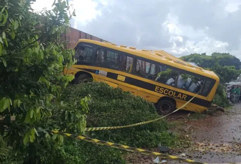 Imagem descritiva da notícia Motorista de ônibus da Apae de Jandaia é indiciado por homicídio culposo