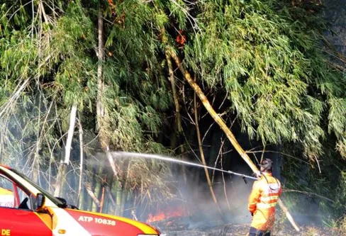 Imagem descritiva da notícia Número de incêndios ambientais dispara e gera alerta em Apucarana