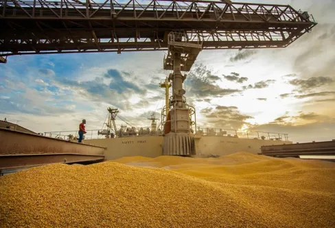 Imagem descritiva da notícia Exportações do Paraná crescem 12,7% e alcançam US$ 19 bilhões