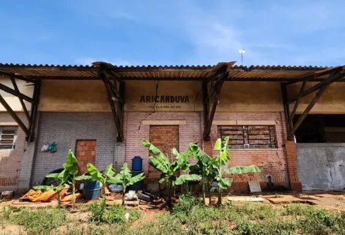 Imagem descritiva da notícia Há 81 anos trem chegava para impulsionar distrito de Arapongas