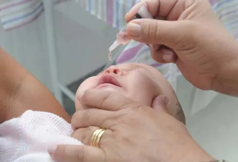 Imagem descritiva da notícia Paraná inicia campanha com meta de aplicar 250 mil vacinas