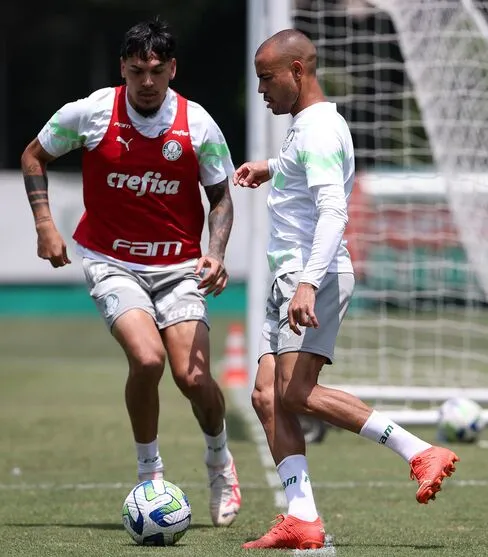 Imagem descritiva da notícia Palmeiras visita o Cruzeiro para confirmar título