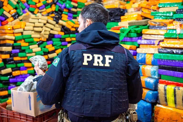 Imagem descritiva da notícia PRF registra recorde histórico de apreensões de drogas em 2023