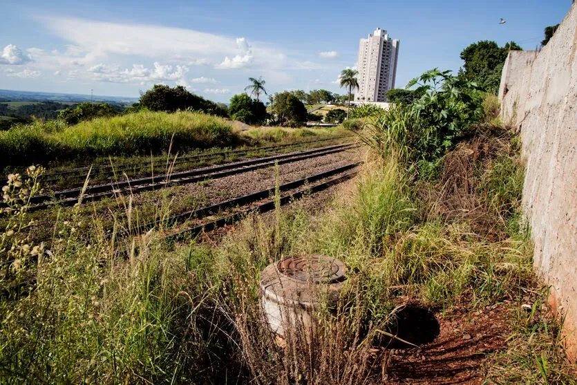 Imagem descritiva da notícia Prefeitura aciona Rumo para roçagem nas margens da ferrovia
