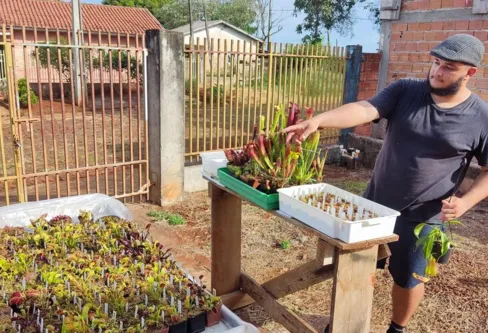 Imagem descritiva da notícia De hobby a negócio: morador de Ivaiporã cultiva plantas carnívoras