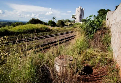 Imagem descritiva da notícia Prefeitura aciona Rumo para roçagem nas margens da ferrovia