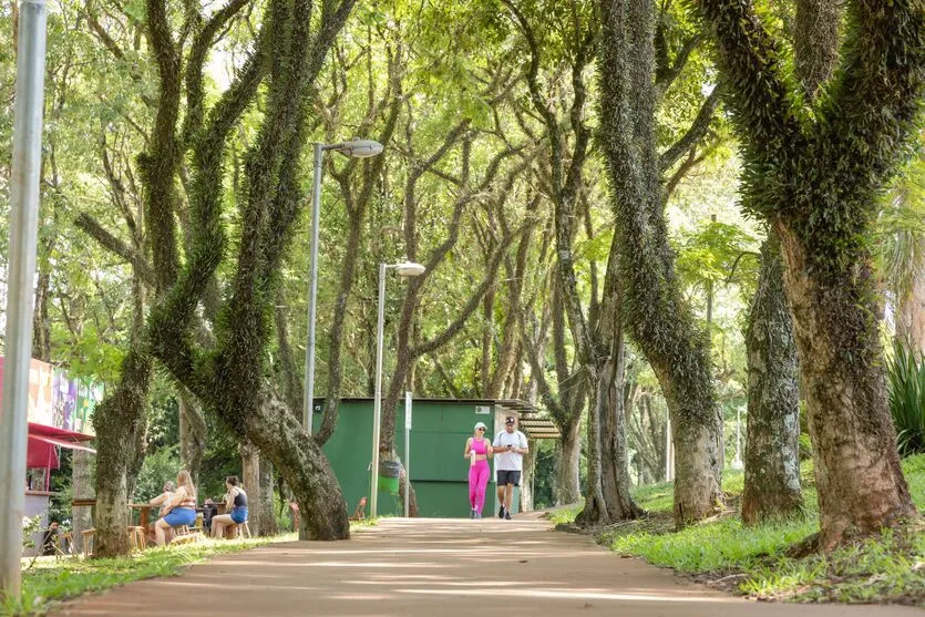 Imagem descritiva da notícia Transparaná, roteiros rurais e parques são opções no feriado
