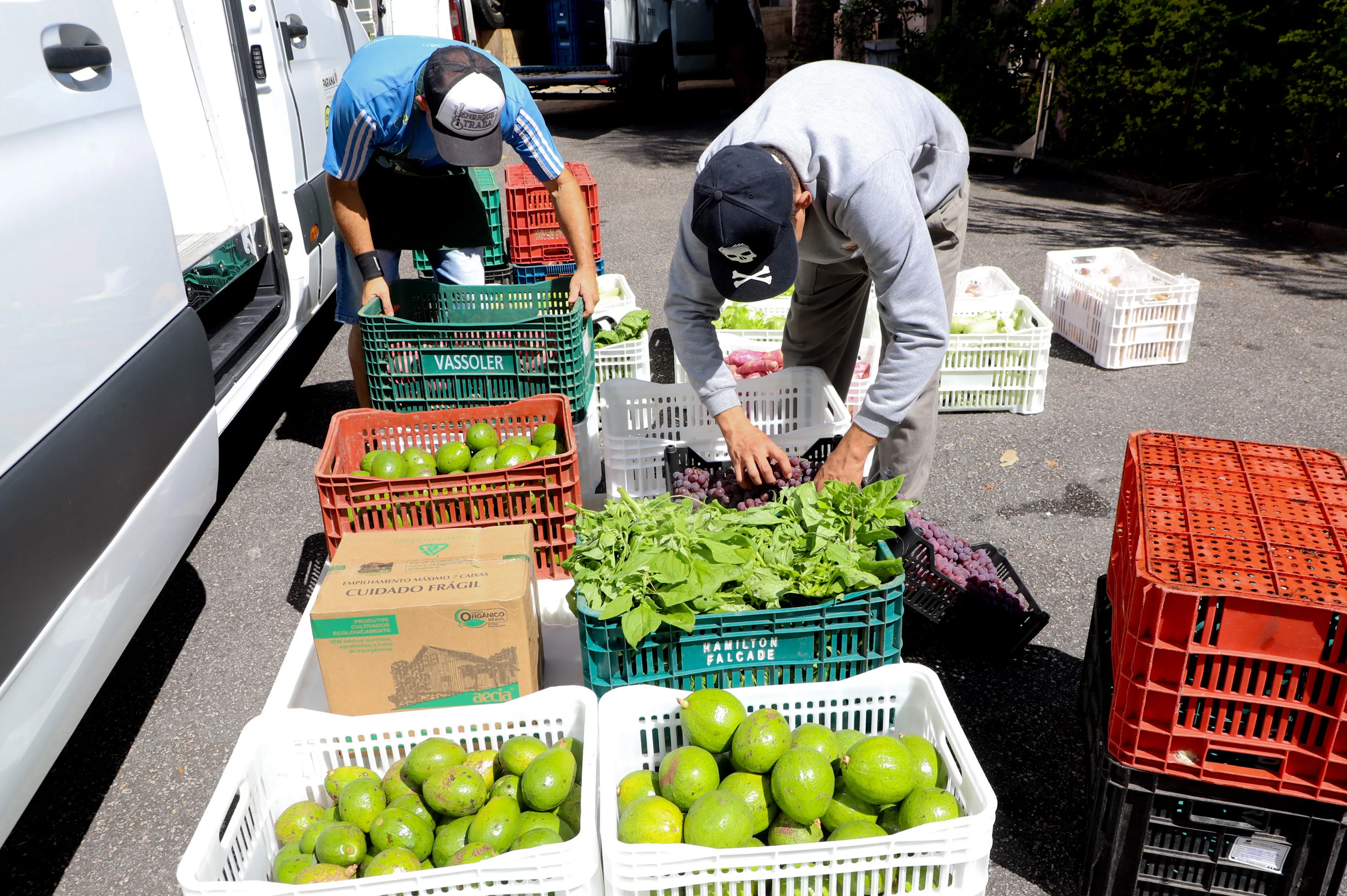 Imagem descritiva da notícia Compra Direta vai levar alimentos para mil entidades do Paraná