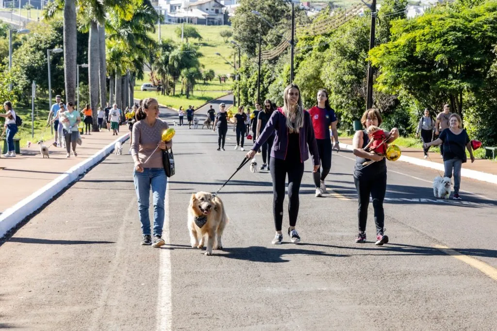 Imagem descritiva da notícia Domingo no Parque reúne 400 pessoas no Lago Jaboti