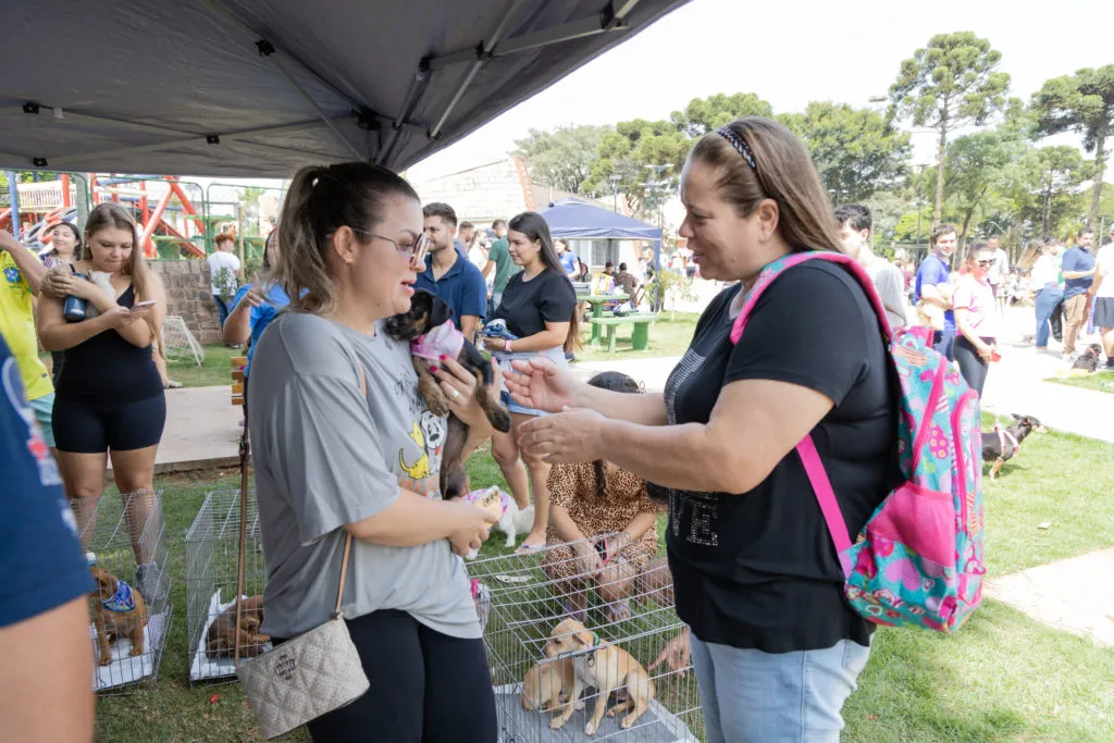 Imagem descritiva da notícia Encontro Manhã Pet leva grande público para Praça do 28