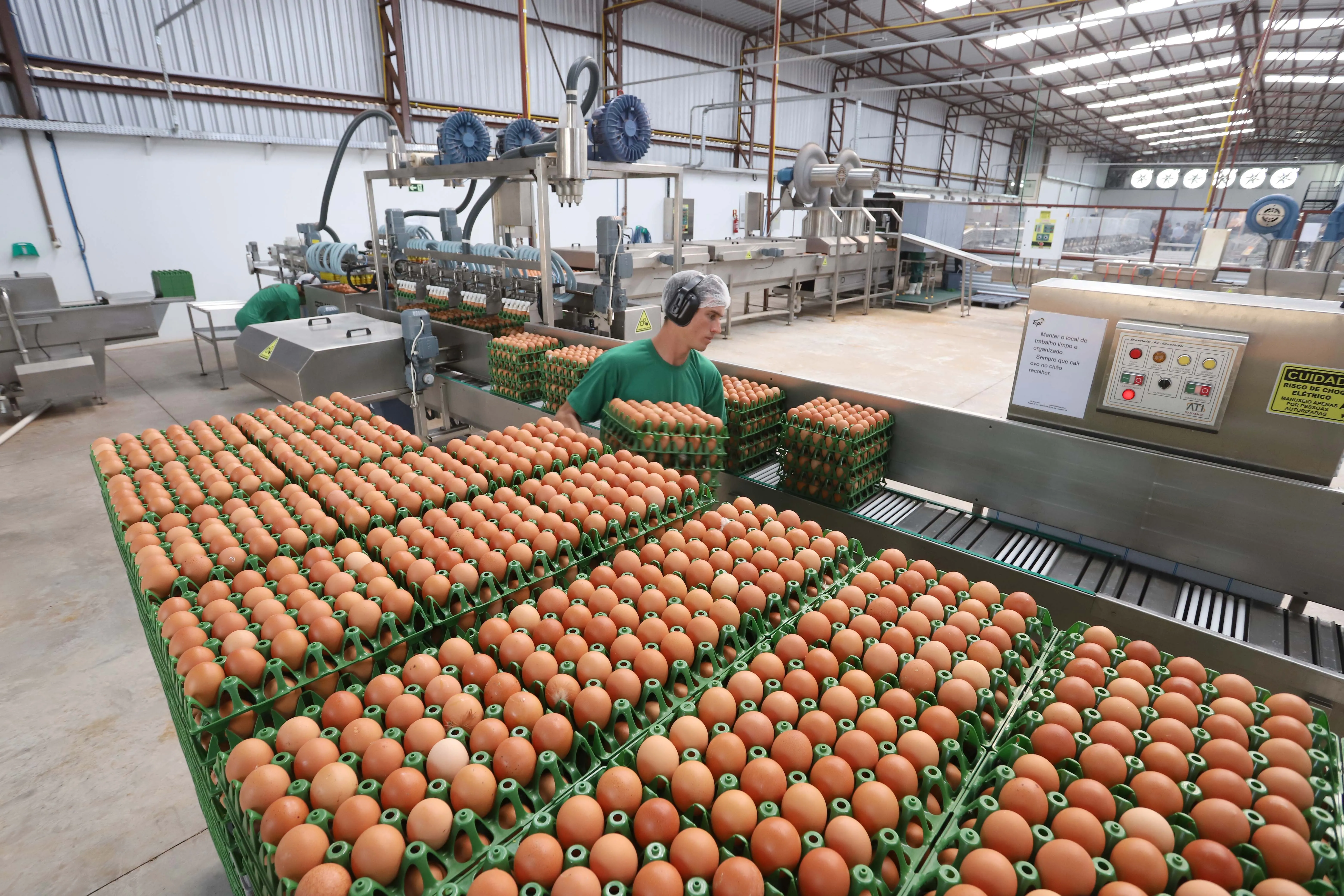 Imagem descritiva da notícia Produção de ovos do Paraná cresce 72% em 10 anos e segue em alta