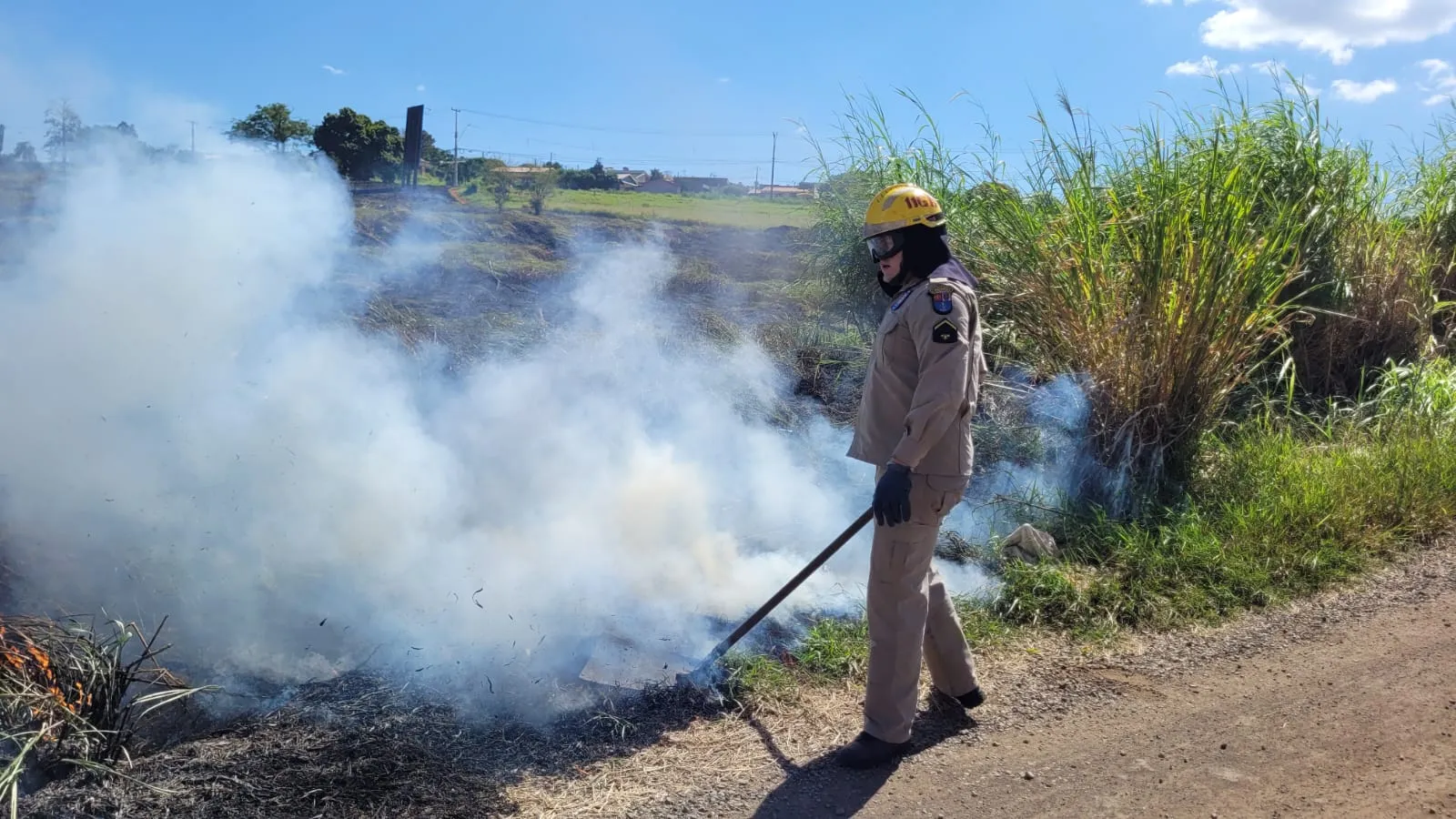 Imagem descritiva da notícia Incêndios ambientais disparam em Apucarana e geram alerta