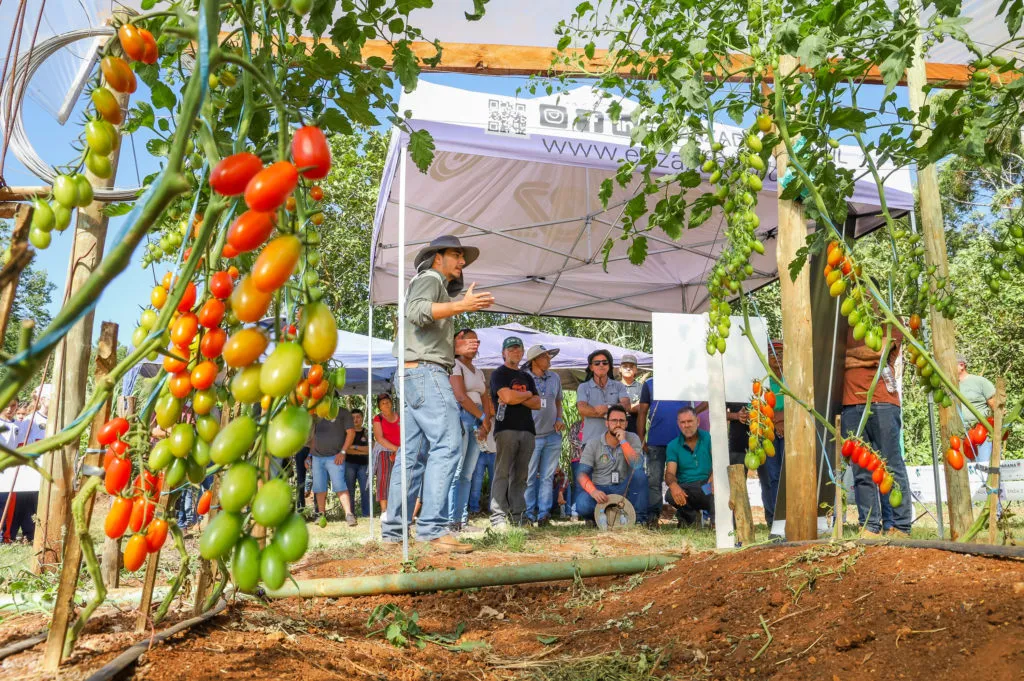 Imagem descritiva da notícia Agricultura orgânica é tema de tarde de campo em Apucarana
