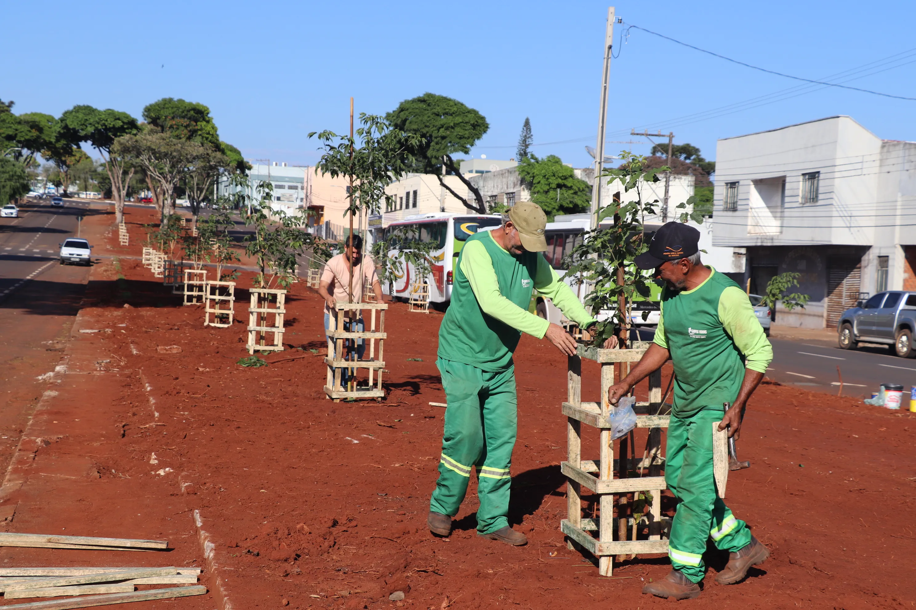 Imagem descritiva da notícia Ivaiporã implanta novo projeto de arborização