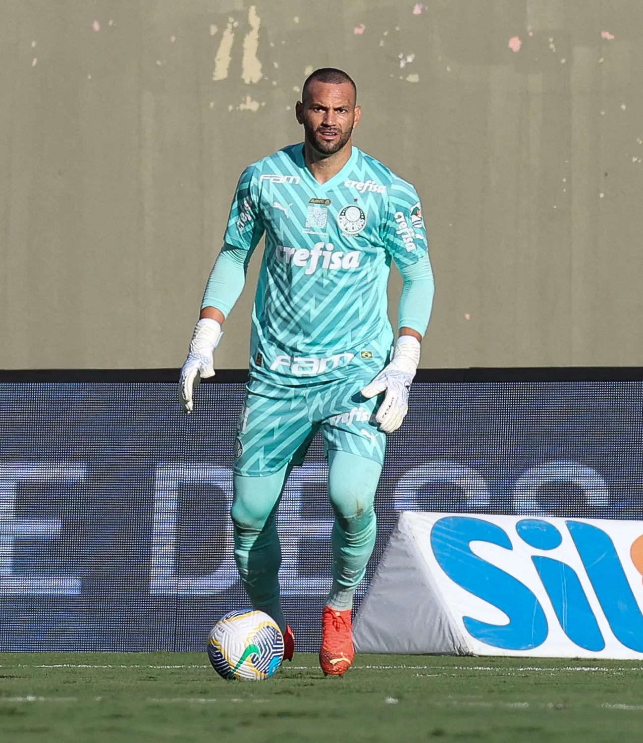 Imagem descritiva da notícia No Allianz Parque, Palmeiras pega o Del Valle pela Copa Libertadores