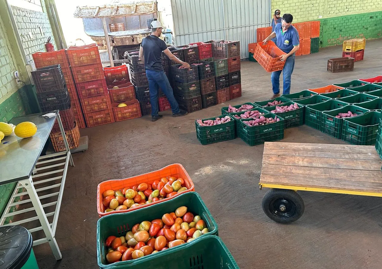 Imagem descritiva da notícia Entreposto de Ivaiporã comercializa produtos de 150 agricultores