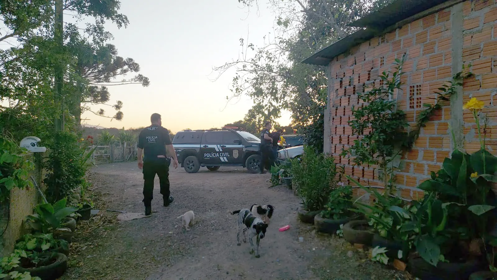 Imagem descritiva da notícia PC prende jovem suspeito de quatro assassinatos da ‘guerra do tráfico’
