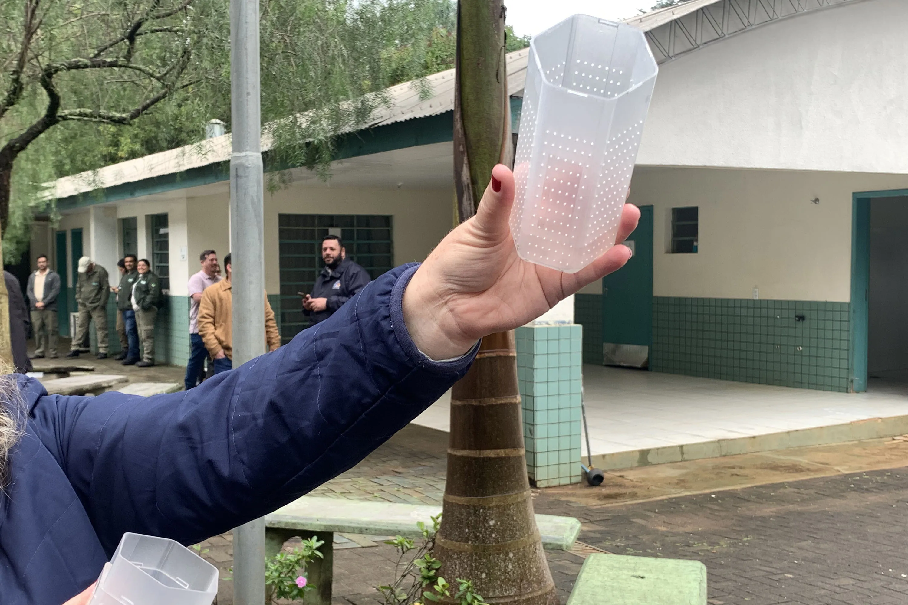 Imagem descritiva da notícia Biofábrica solta mosquitos com bactéria de combate à dengue