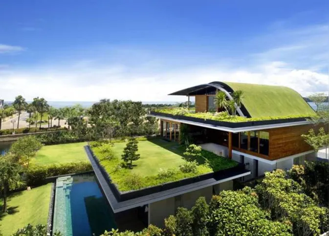 Imagem ilustrativa da imagem Telhado verde ganha espaço na arquitetura