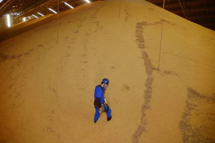 Imagem ilustrativa da imagem Região deve chegar a recorde de 1,4 milhão de toneladas de soja