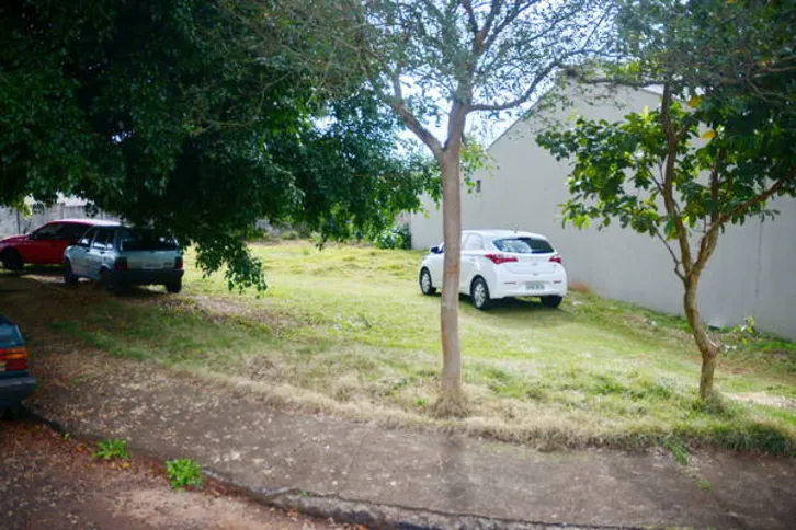Imagem ilustrativa da imagem Projeto de lei quer trocar mato alto por grama em terrenos baldios 