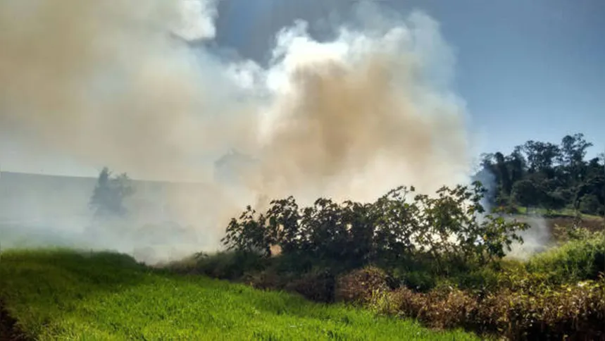 Imagem ilustrativa da imagem Fogo destrói área ambiental em Ivaiporã