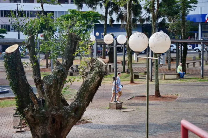 Imagem ilustrativa da imagem Árvores são cortadas na ‘Praça do Redondo’