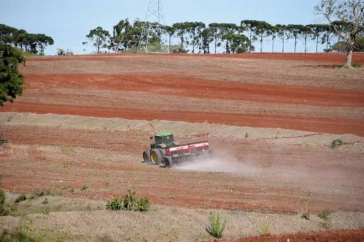 Imagem ilustrativa da imagem Após chuva, agricultores apressam plantio de trigo
