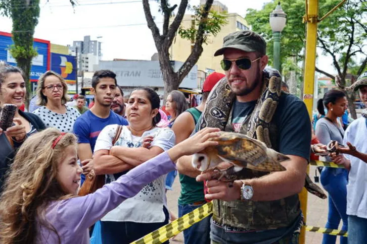 Imagem ilustrativa da imagem Exposição leva cobras e aves de rapina para centro de Apucarana