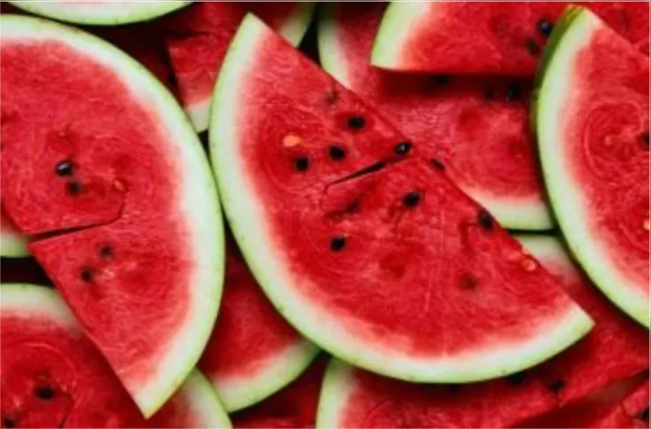 Imagem ilustrativa da imagem 5 Alimentos essenciais para o verão
