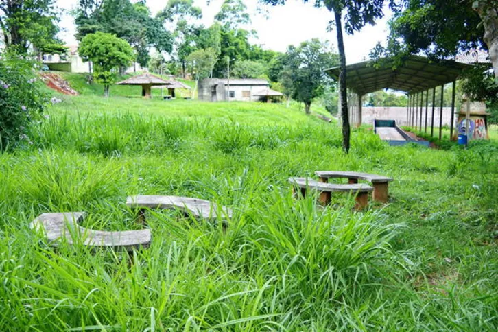 Imagem ilustrativa da imagem Prefeitura de Apucarana anuncia revitalização do Parque Biguaçu